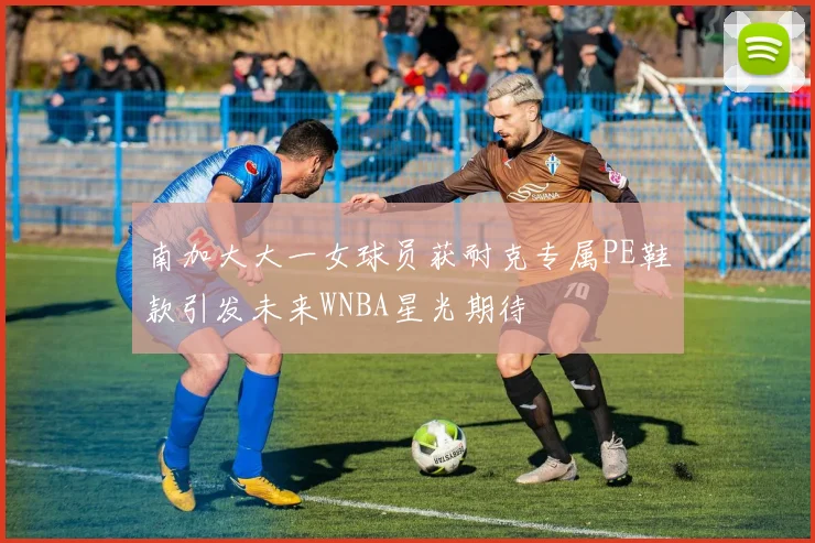 南加大大一女球员获耐克专属PE鞋款引发未来WNBA星光期待