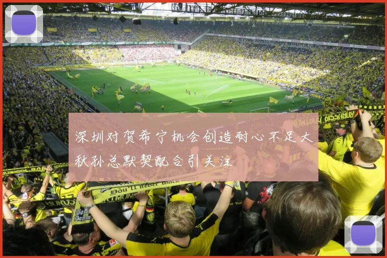深圳对贺希宁机会创造耐心不足大秋孙总默契配合引关注