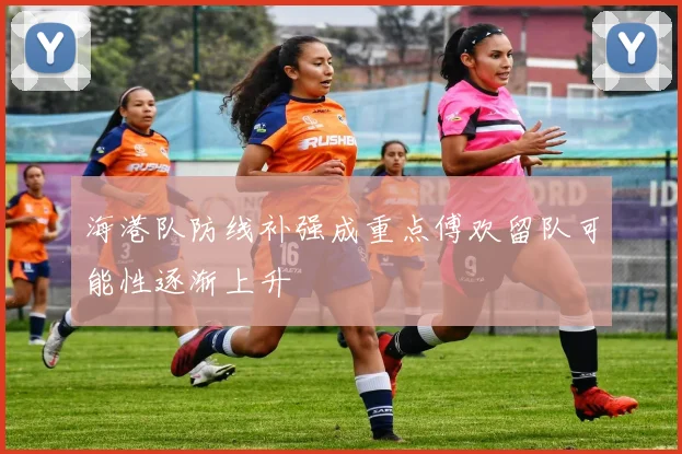 海港队防线补强成重点傅欢留队可能性逐渐上升
