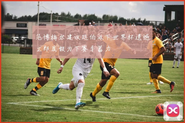 范博梅尔建议廷伯放下世界杯遗憾立即度假为下赛季蓄力